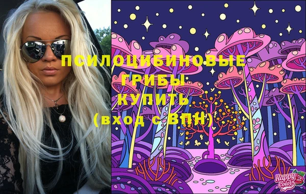 прущие грибы Алзамай