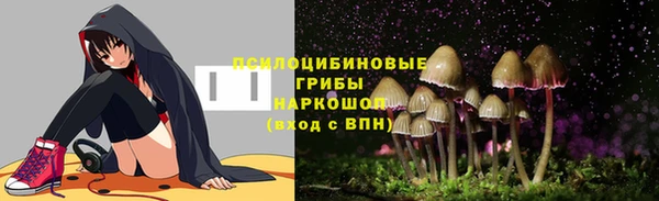 прущие грибы Алзамай