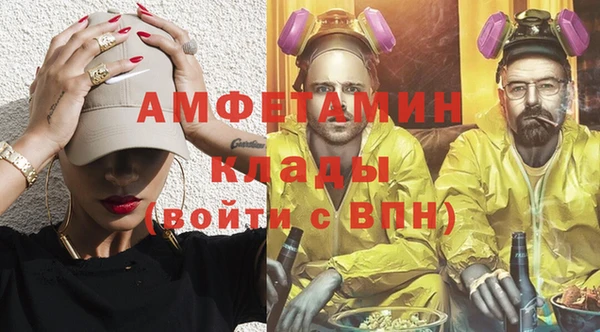 прущие грибы Алзамай