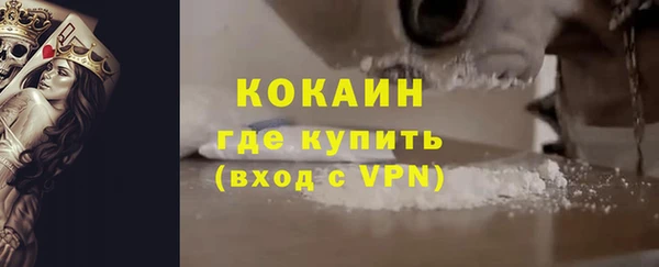 прущие грибы Алзамай