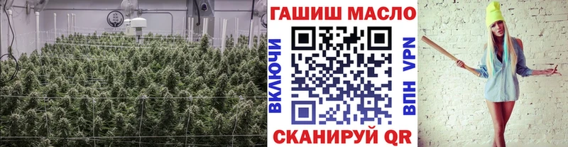 наркотики  сайты даркнета официальный сайт  ТГК THC oil  Фокино 