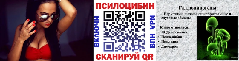 где найти   Фокино  Галлюциногенные грибы GOLDEN TEACHER 