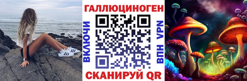Галлюциногенные грибы Psilocybe Фокино